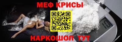 индика Камышлов