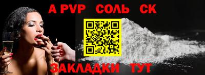 индика Камышлов
