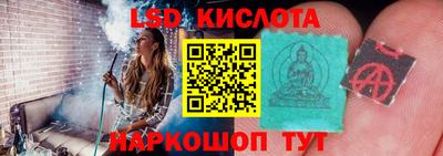 индика Камышлов