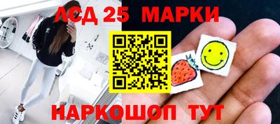 индика Камышлов