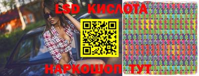 индика Камышлов