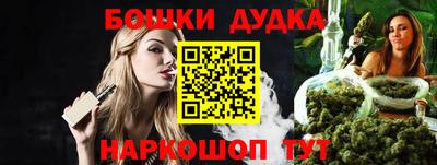 индика Камышлов
