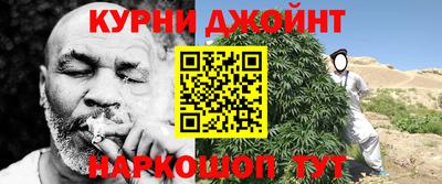 индика Камышлов