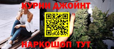 индика Камышлов