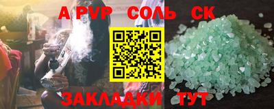 индика Камышлов