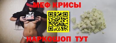 индика Камышлов