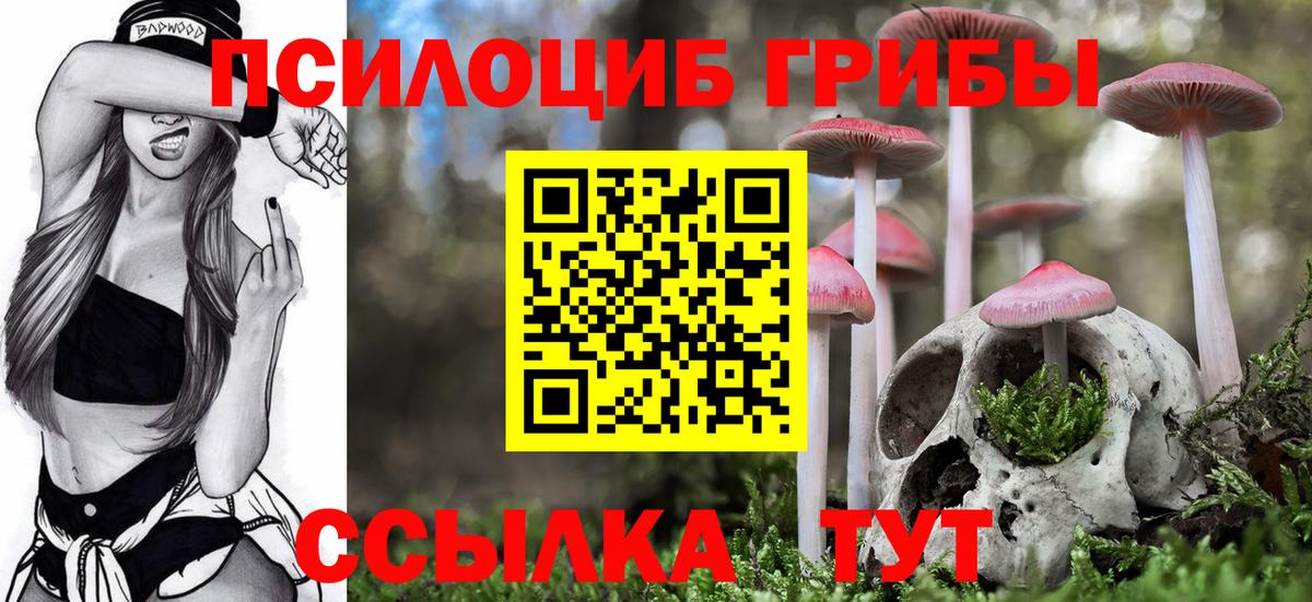 Кувандык  Псилоцибиновые грибы Magic Shrooms  Вход с VPN  Галлюциногенные грибы Magic Shrooms 